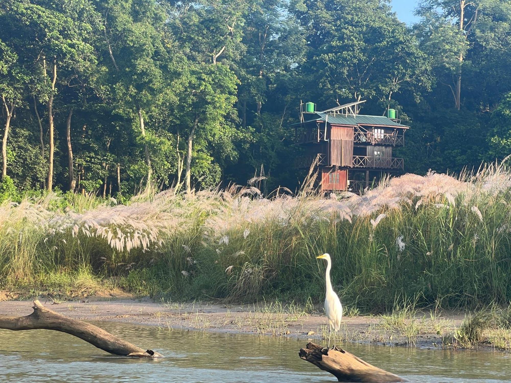 Hotel Chitwan Park Village Sauraha Eksteriør bilde